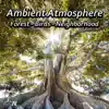 John Nature - Ambient Atmosphere - Forest, Birds, Neighborhood
